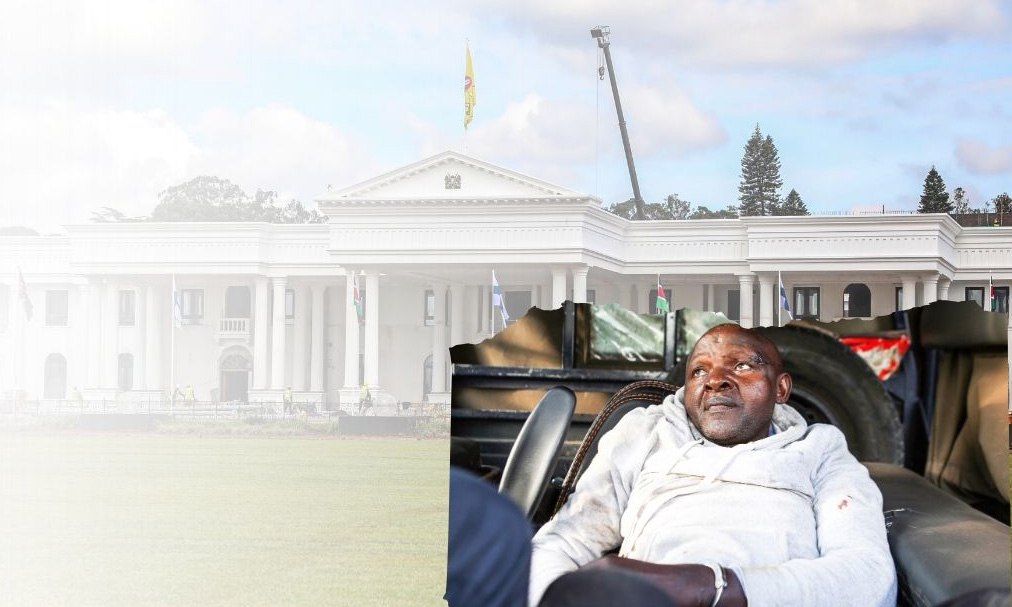 Jinsi mwanamume alifika lango la Ikulu, akapiga stori na GSU kabla ya kumuua