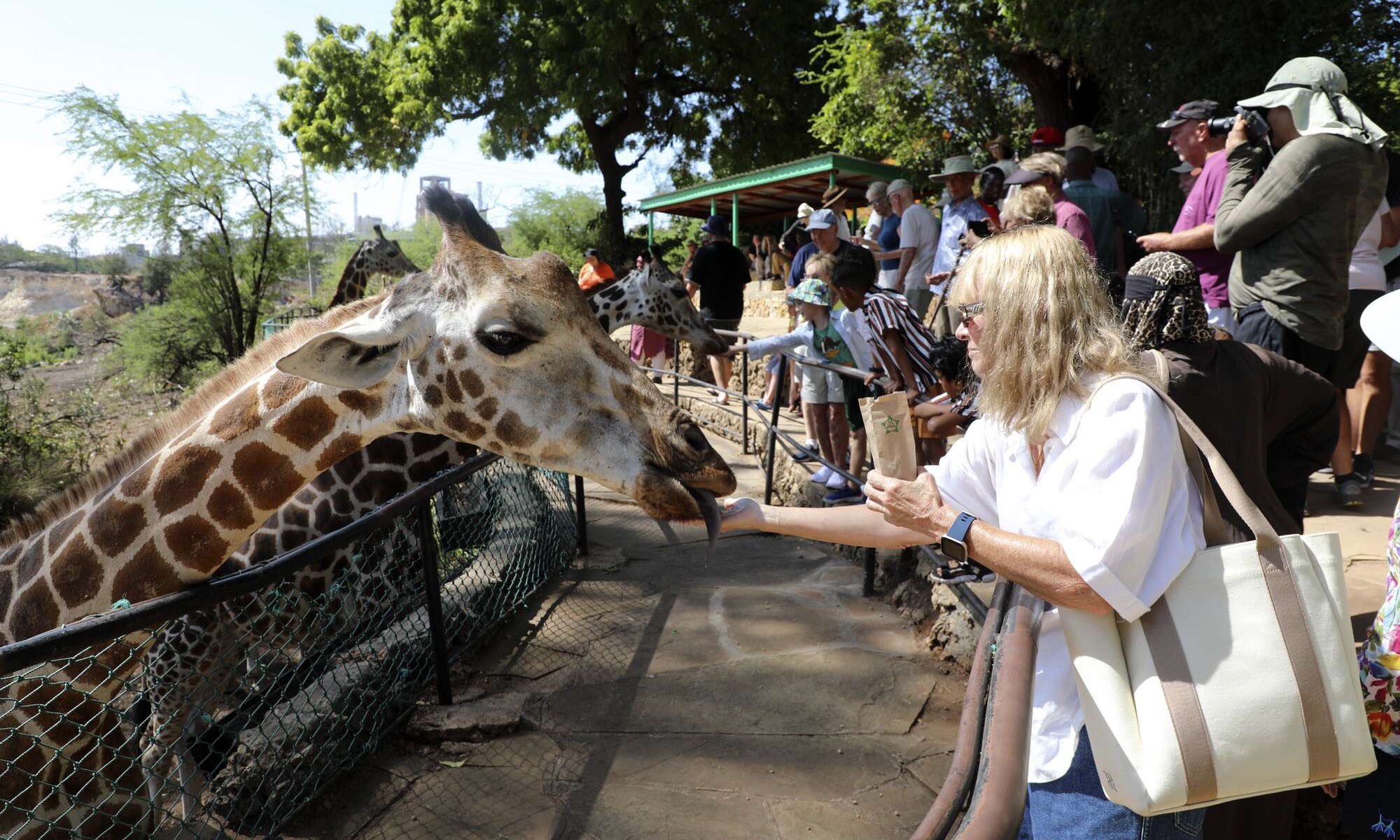 Utalii: Kenya yavuna joto la siasa likiwaka kwa majirani Uganda na Tanzania