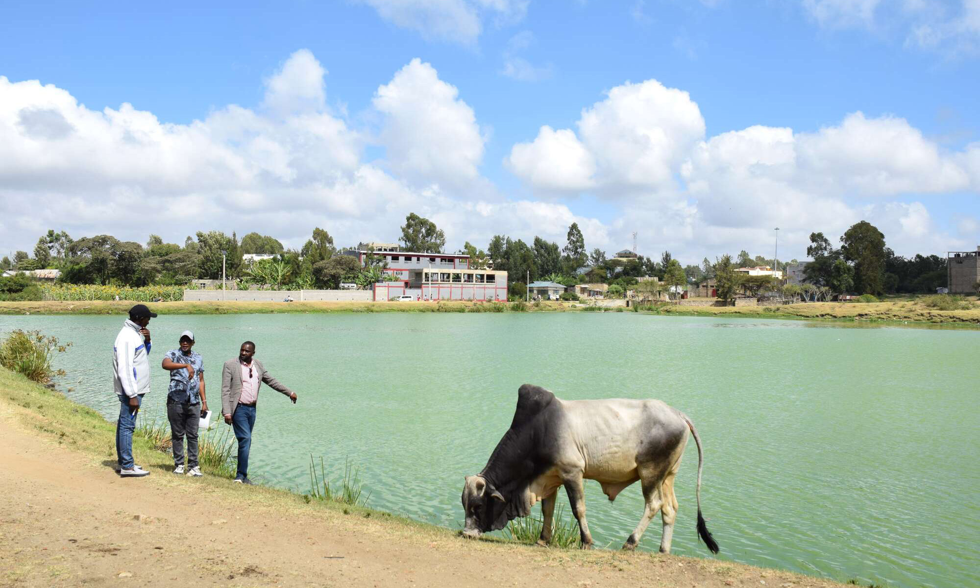 Wavinya akumbana na upinzani mkali kwa mpango wa kukausha bwawa la Tala