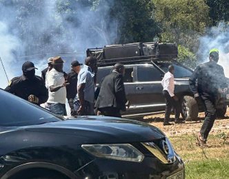 dynamic video description