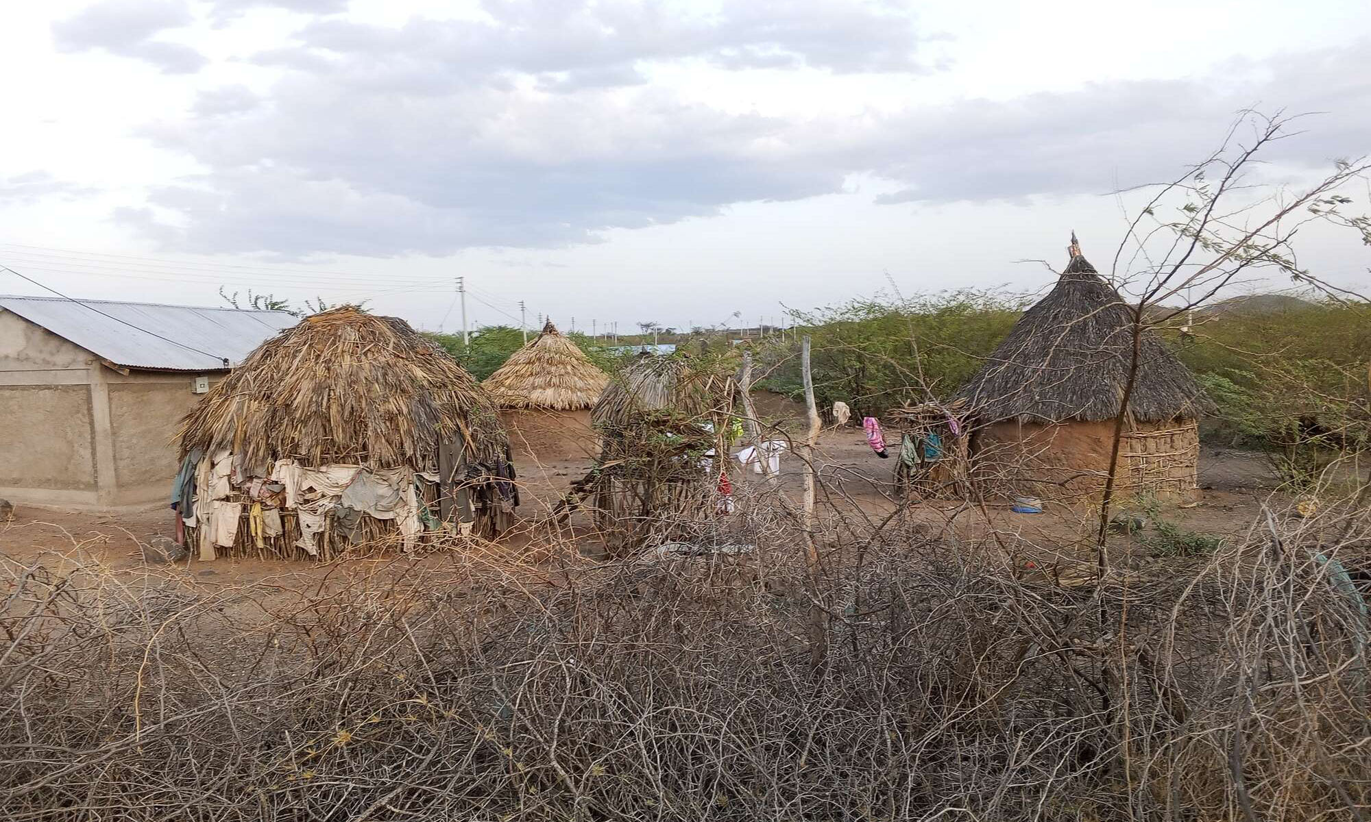 Majangili wavamia kijiji kinachohifadhi wahanga wa ukame na kuiba mifugo mchana