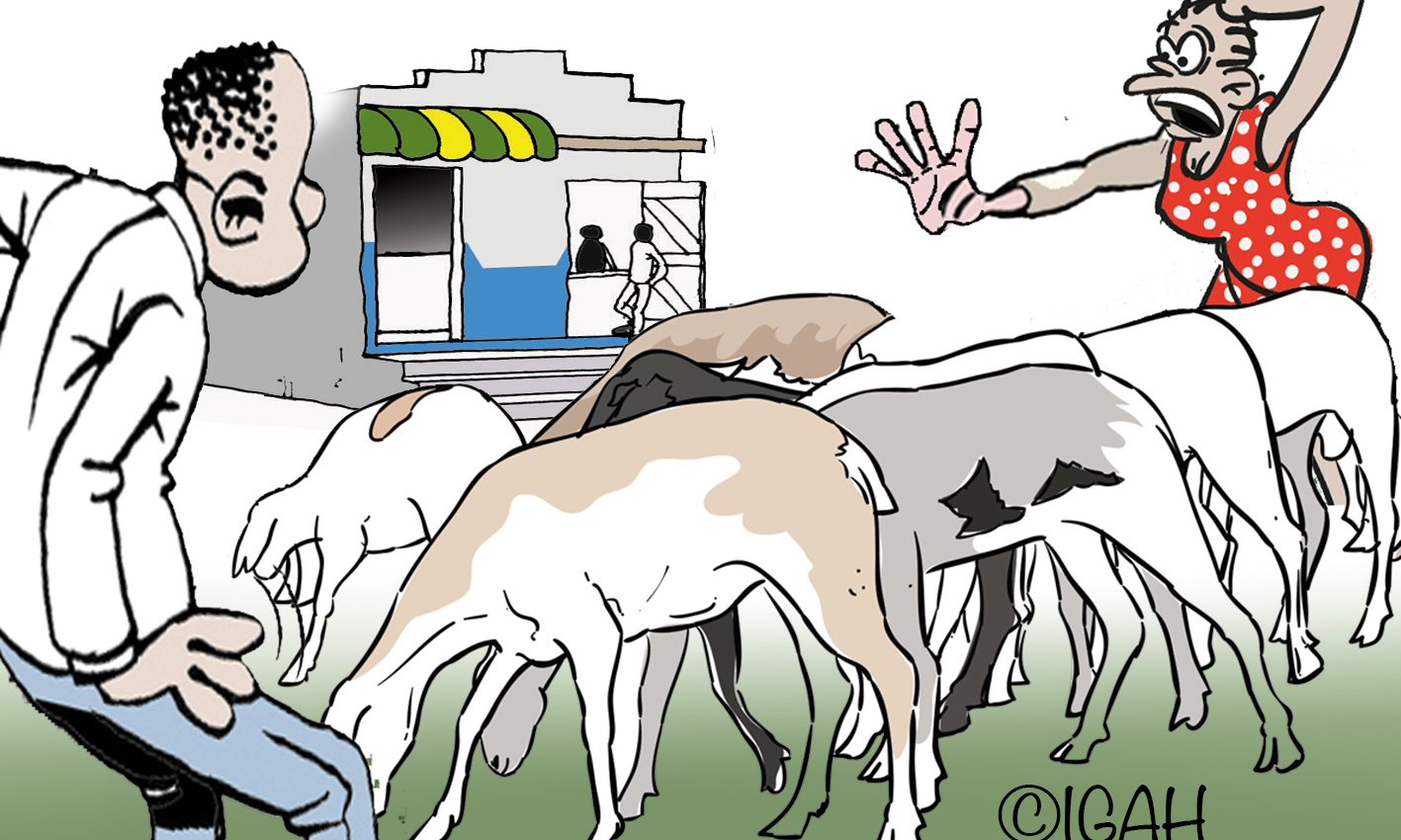 Kizaazaa sokoni demu akizuia mume kupiga bei mbuzi wake