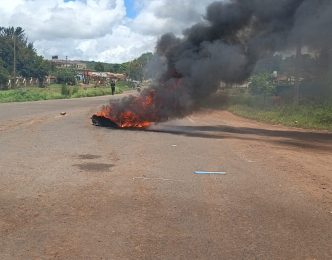 dynamic video description