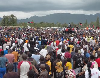 dynamic video description