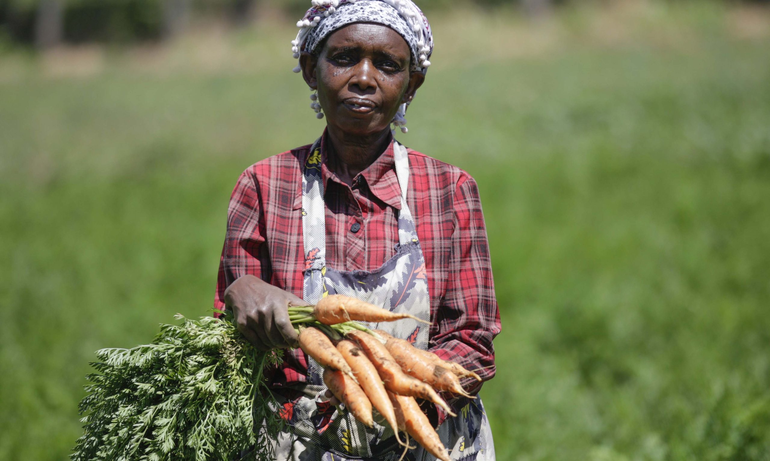 Mwalimu mstaafu anavyojisitiri kijijini kwa mazao 