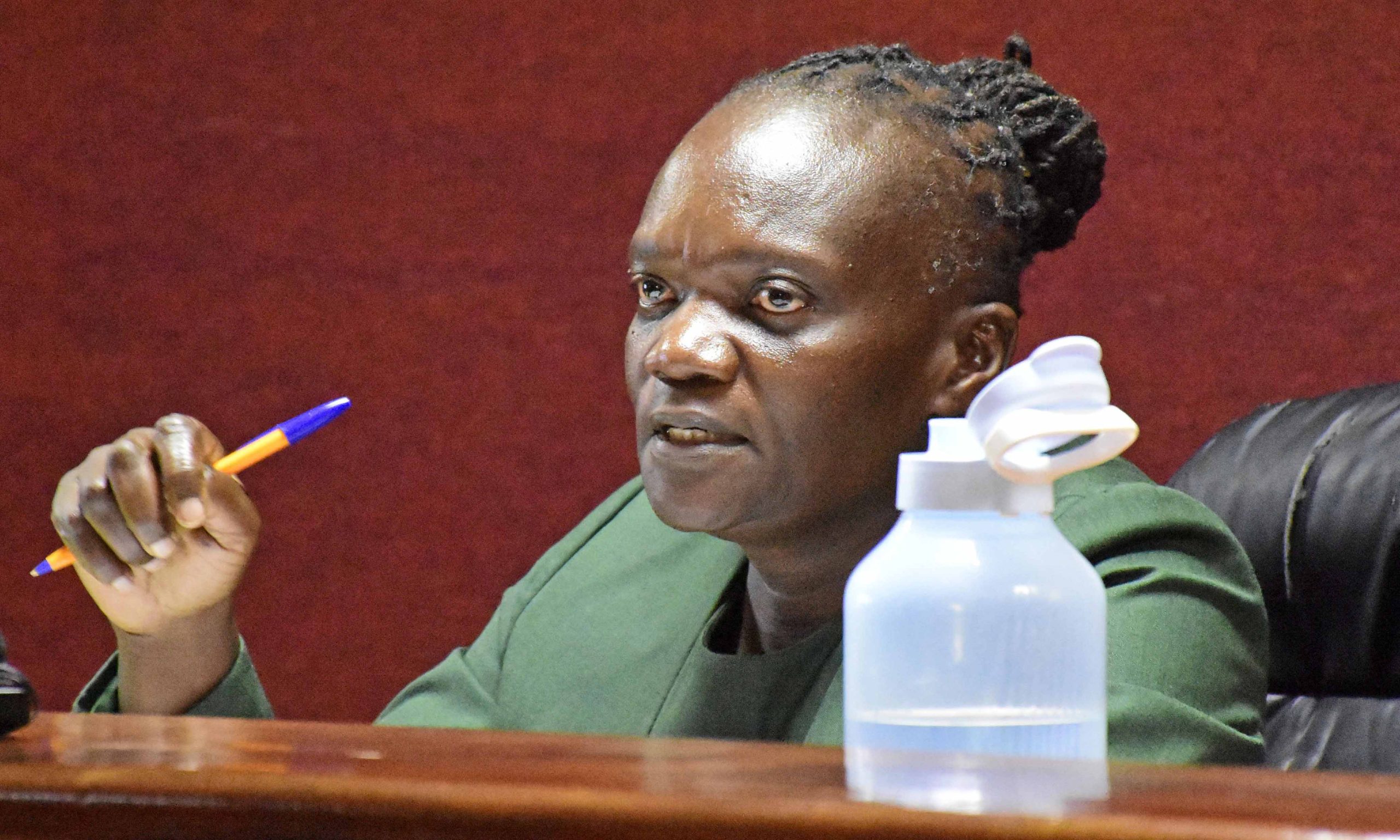 Mahakama yakataa ombi la mwanaharakati kuahirisha kura za 2027