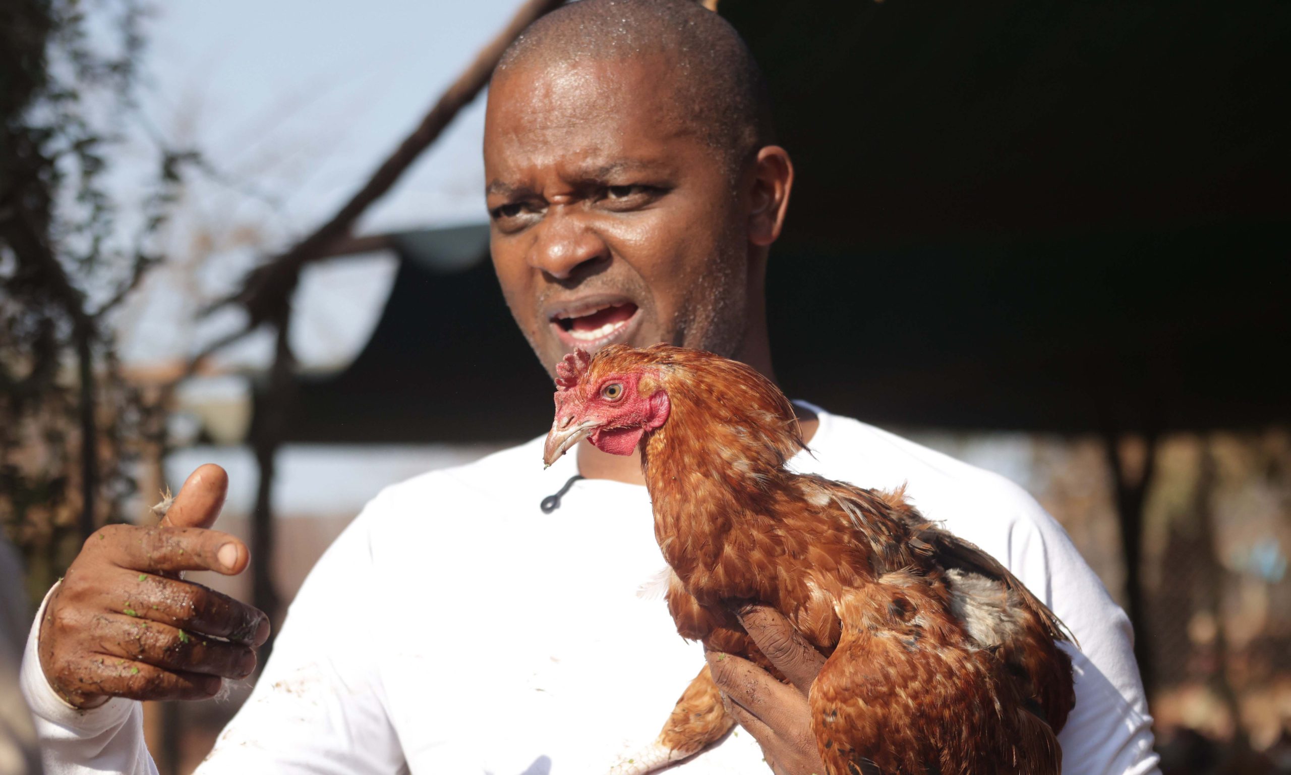 Rais wa zamani wa soka Nick Mwendwa anavyomudu kufuga kuku 150,000 wa kienyeji