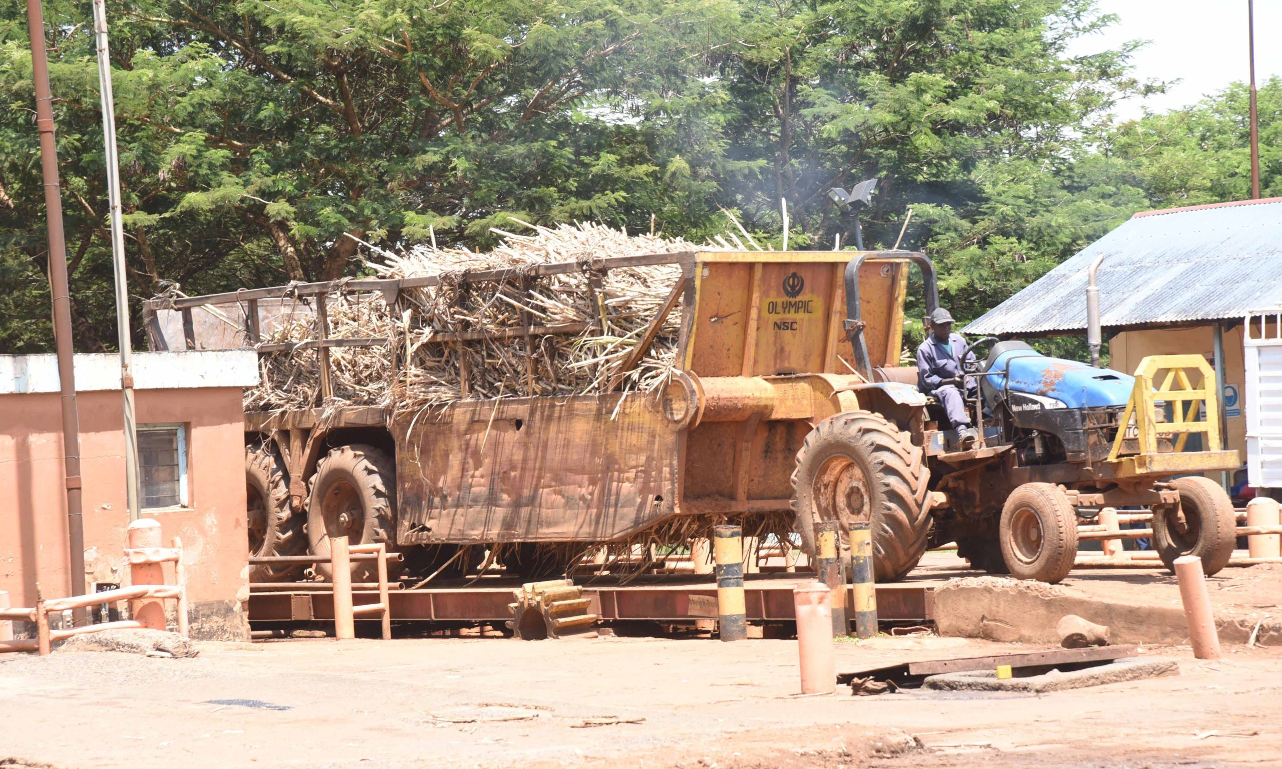 Matunda ya ubinafsishaji wa kampuni ya sukari ya Nzoia Sugar yaanza kuonekana