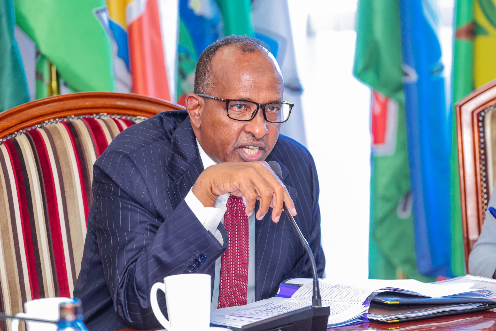 Nitahamisha Wasomali wampigie kura Rais Ruto 2027