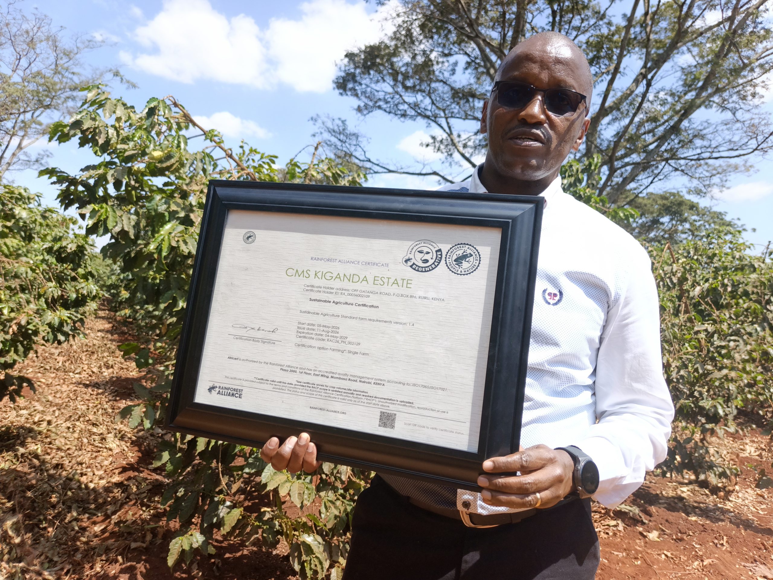 Shamba hili lilivyotuzwa kwa mbinuhai zake kukuza kahawa